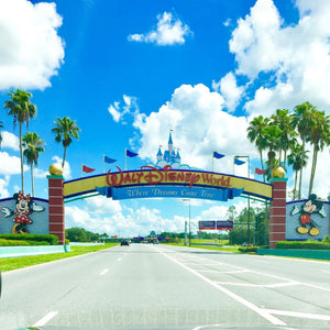 Disney World 2019: Why 2019 is the Best Time to Visit Disney World